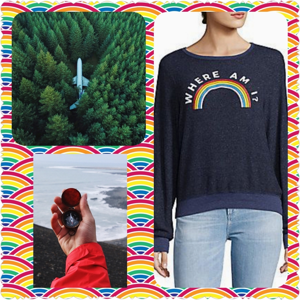 Wildfox "Where am I?" Opium Blue Sweatshirt/BBJ
